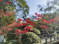 -浙江西子宾馆·瑶园咖啡厅