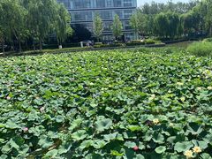 -廊坊文化艺术中心