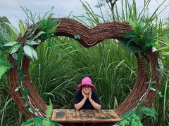 -桤木河湿地公园