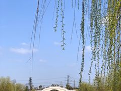 -广富林郊野公园