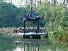 -合肥滨湖国家森林公园