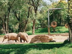 -北京野生动物园
