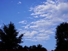 -两河城市森林公园