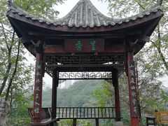 -重庆彩云湖湿地公园