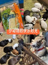 -酷嗒动物文化乐园(cutezoo西溪乐天城店)