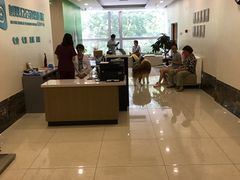 -美联众合动物医院·24h转诊中心