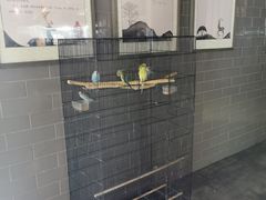 -静一·食光里(黄河路店)