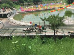 -北京鹿世界主题园