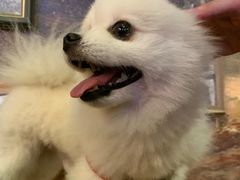 -胡桃里音乐酒馆(仓山万达店)