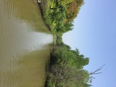 怡沁园度假村-上海怡沁园度假酒店