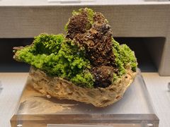 -湖南省地质博物馆