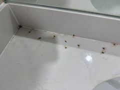 -上海市普陀区中心医院