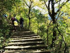 -大罗山风景区