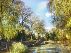 -三忘湖 SWANSEEN(柳荫公园店)