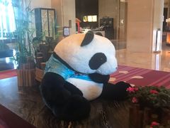 -成都保利公园皇冠假日酒店(熊猫基地店)