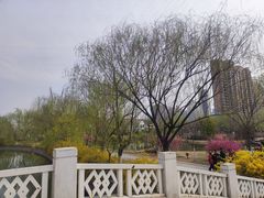 -南翠屏公园