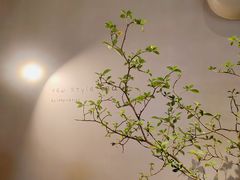 -喜茶(广州佳兆业广场店)