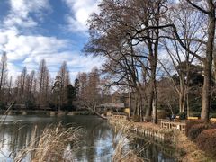 -井之头恩赐公园