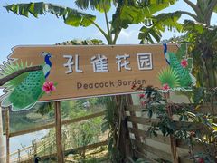 -李小龙乐园(顺德均安店)