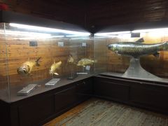 -南京金牛湖风景区