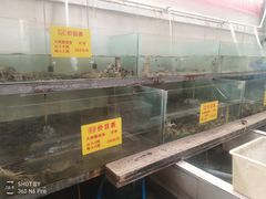-喜洋洋蟹庄(阳澄湖店)