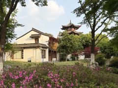 -武汉园博园(武汉自然博物馆)