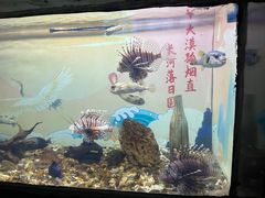 -烟台海昌鲸鲨海洋公园
