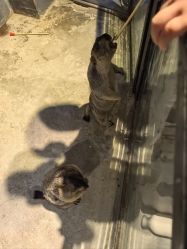 -酷嗒动物文化乐园(cutezoo西溪乐天城店)