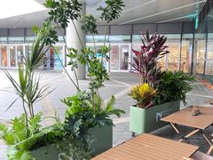 -Northand Coffee(来福士店)