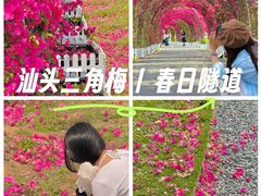-华侨公园