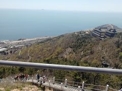 -石老人观光园