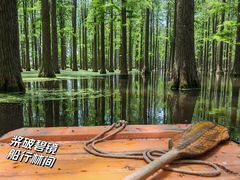 -渌洋湖湿地公园