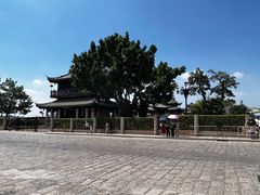 -皮蛋弟砂锅店(总店)