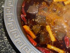 -杨肥肠火锅大排档(火车站花园店)