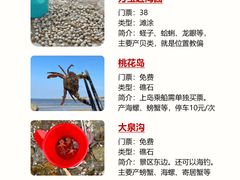 -巧克力渔家.小船海鲜家常菜(万平口店)