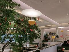 -Aqua Oasis 水天堂(太湖中心mall店)