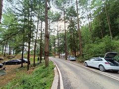 -重庆睡佛山森林公园