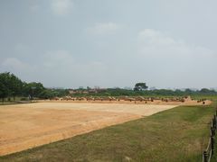 -盘龙城国家考古遗址公园