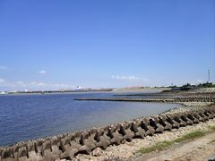 -上海滨江森林公园