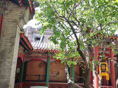 -宫事颐庭·老佛爷贵寿下午茶(颐和园店)