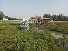 -北海金海湾红树林生态旅游区