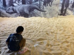 -恐龙探索乐园(磁器口店)