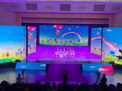 -陕西省小天鹅艺术团