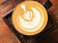 -Again Coffee Roaster(香蜜湖店)