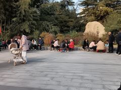 -西苑公园