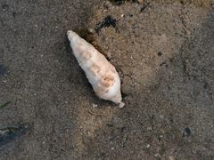 -彩虹沙滩