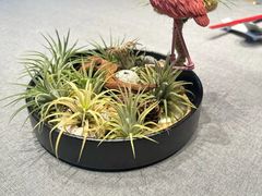 -虹御轩·传承江浙菜(虹桥店)