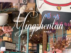 -喵屿·大理花园猫咖