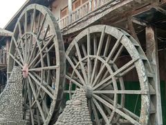 -呀路古热带植物园