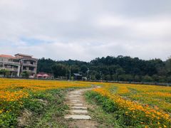 -红山村